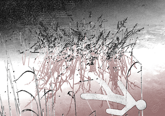 imagen 4. alfonso aguado